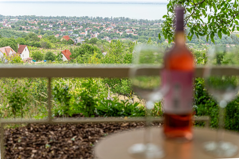 Lovas Öreghegyi út – 2K FHD – 100